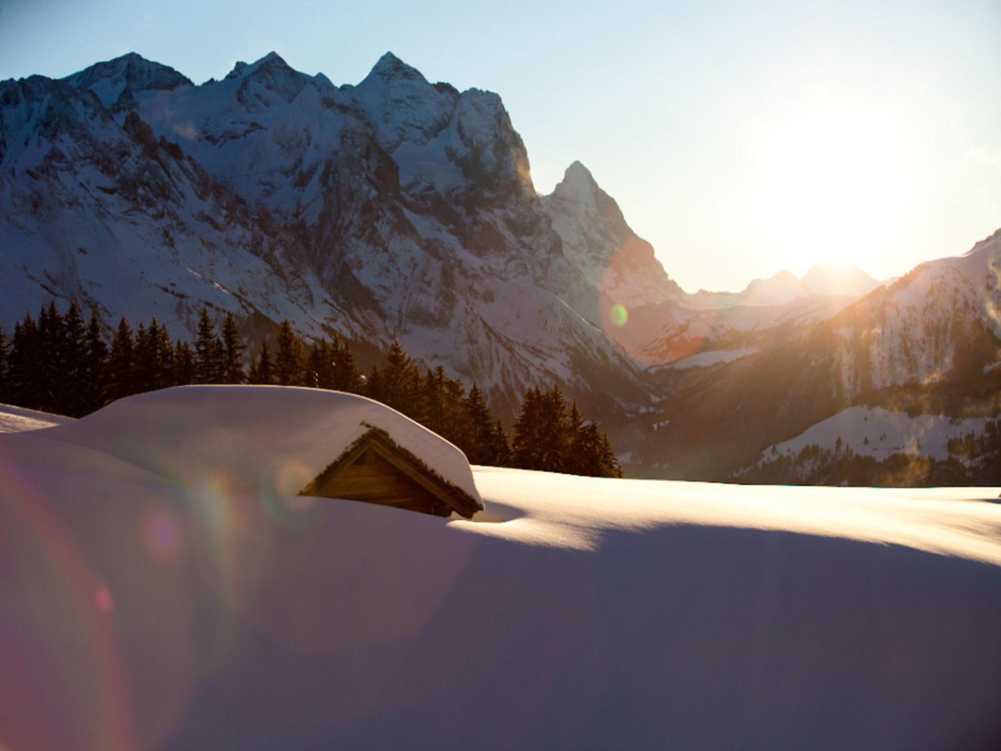 Victoria - Alpine Boutique Hotel & Fine Dining Meiringen Exterior photo