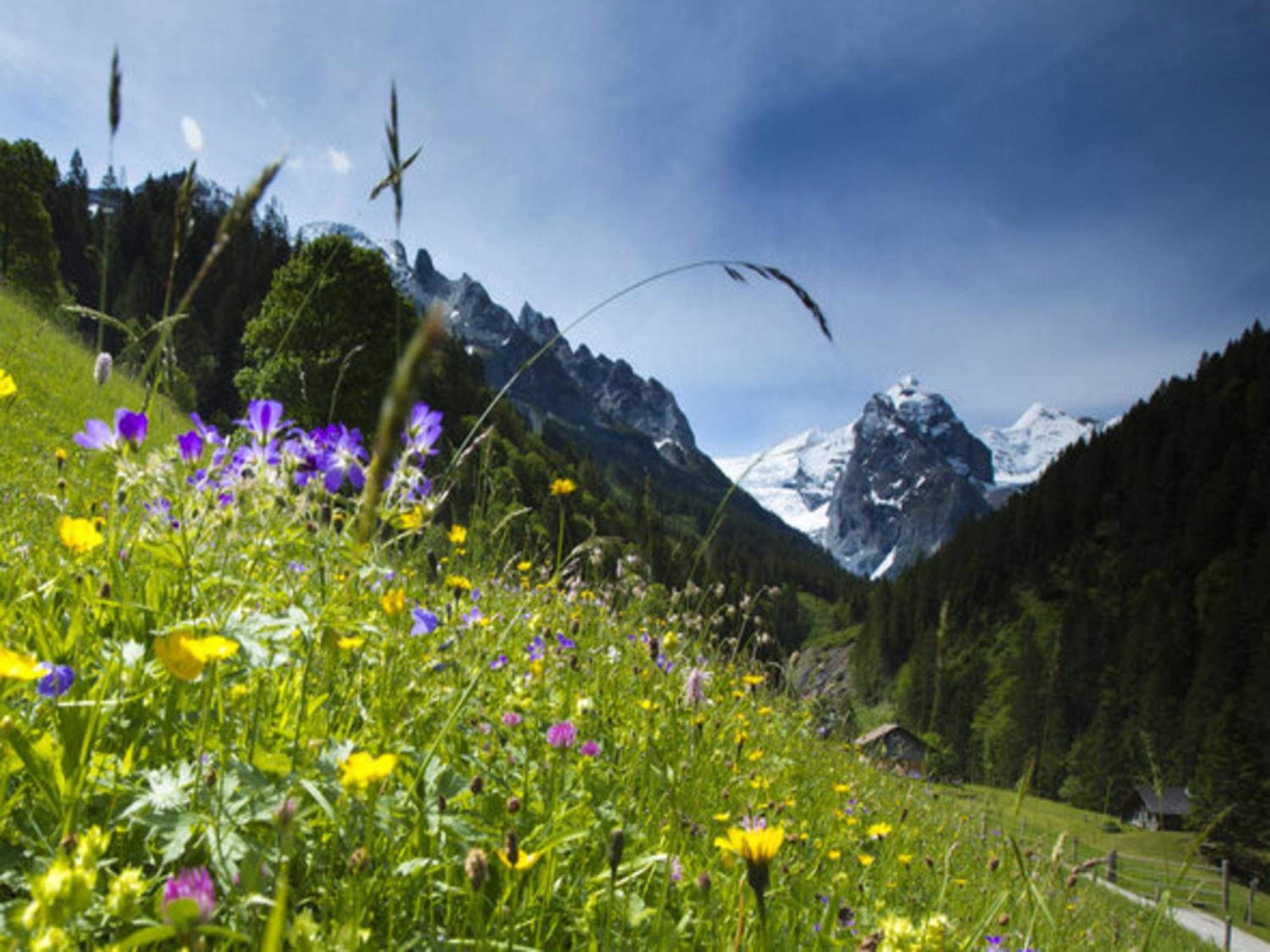 Victoria - Alpine Boutique Hotel & Fine Dining Meiringen Exterior photo