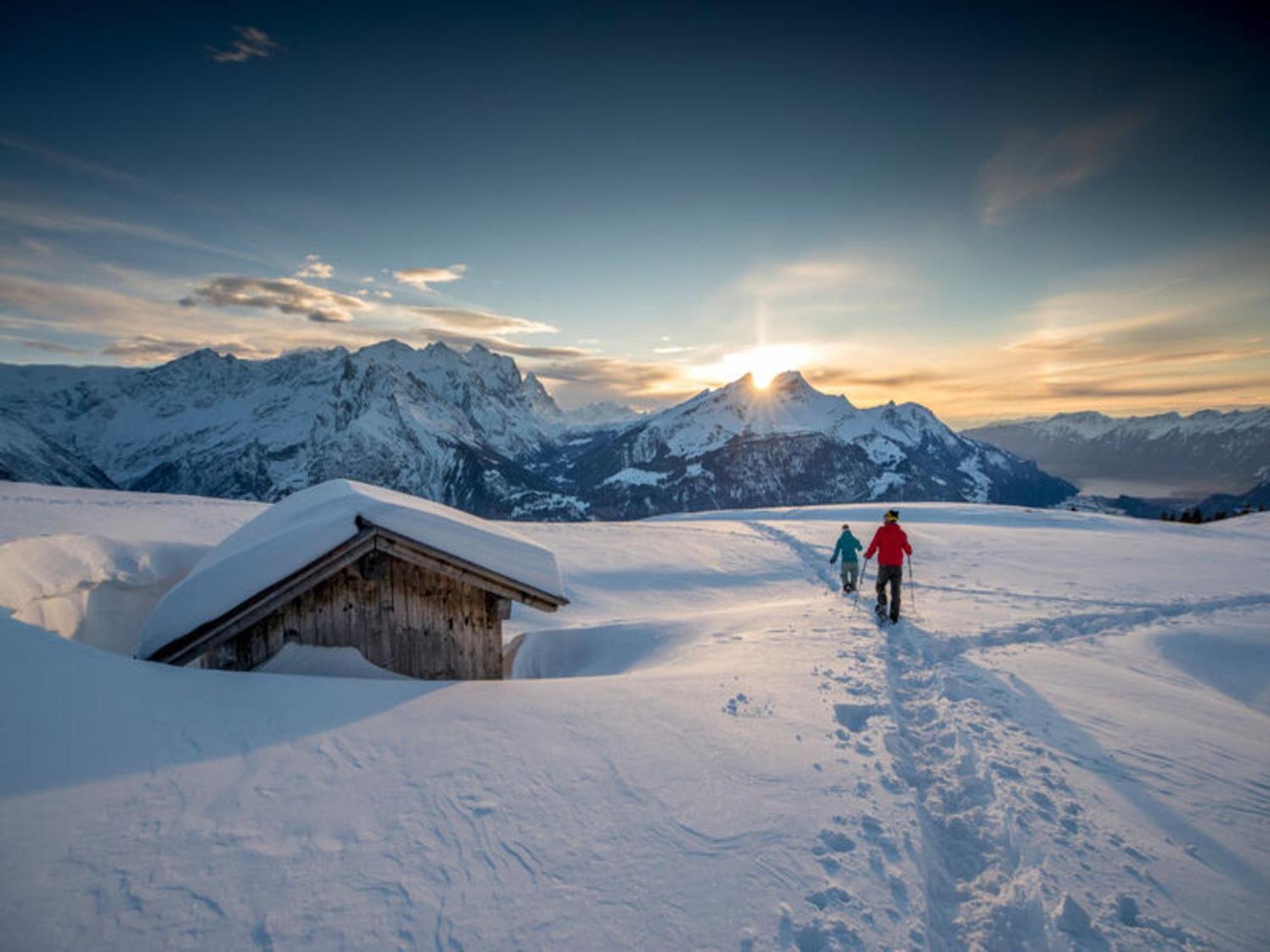 Victoria - Alpine Boutique Hotel & Fine Dining Meiringen Exterior photo