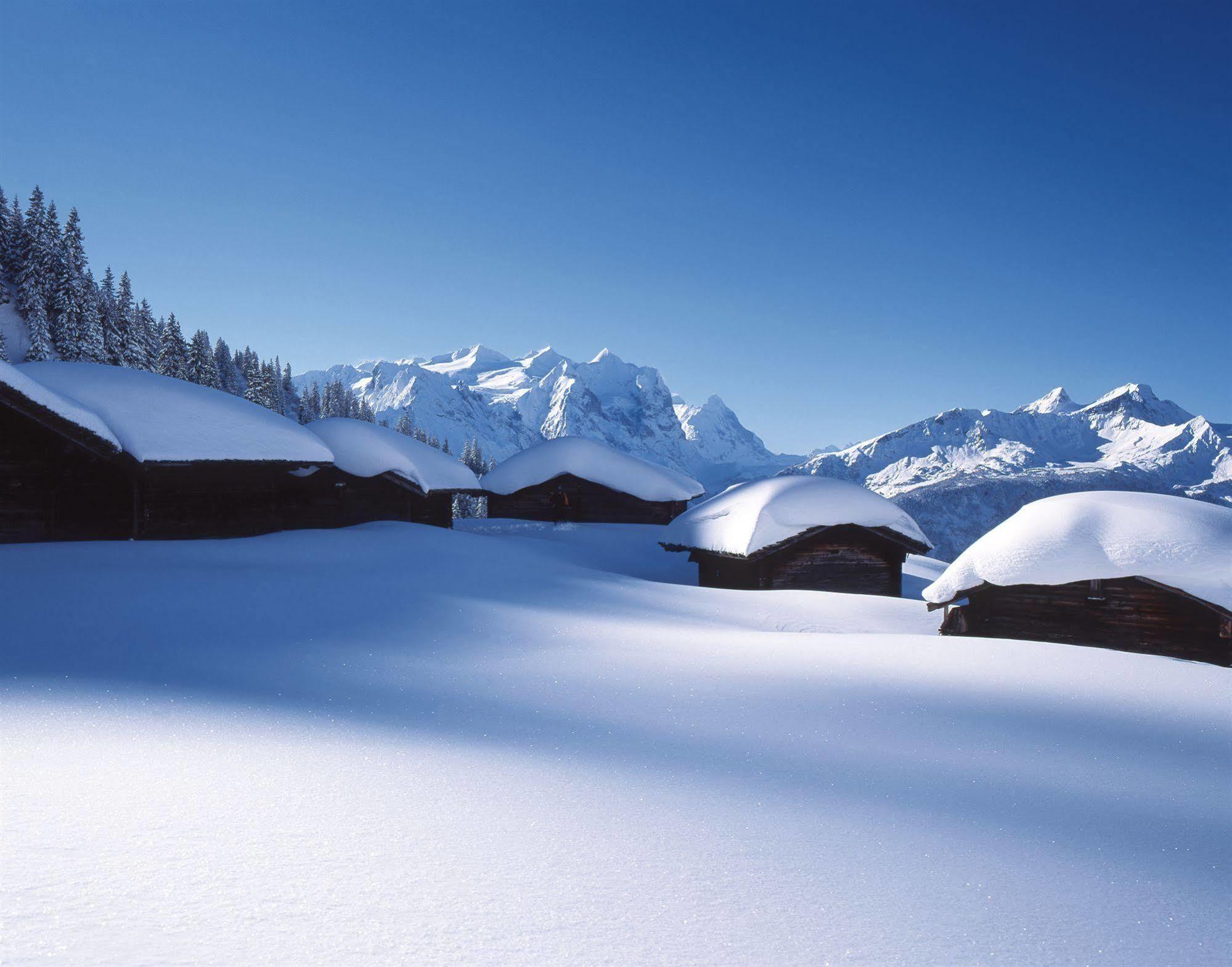 Victoria - Alpine Boutique Hotel & Fine Dining Meiringen Exterior photo